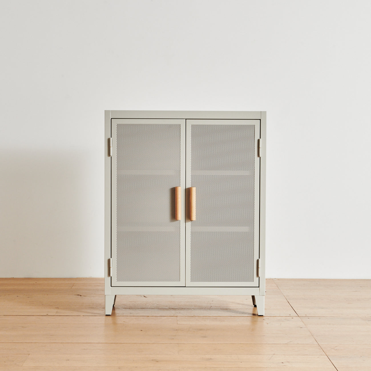 Authentic Tolix B2 Slim Perforated Locker – ZZ Driggs